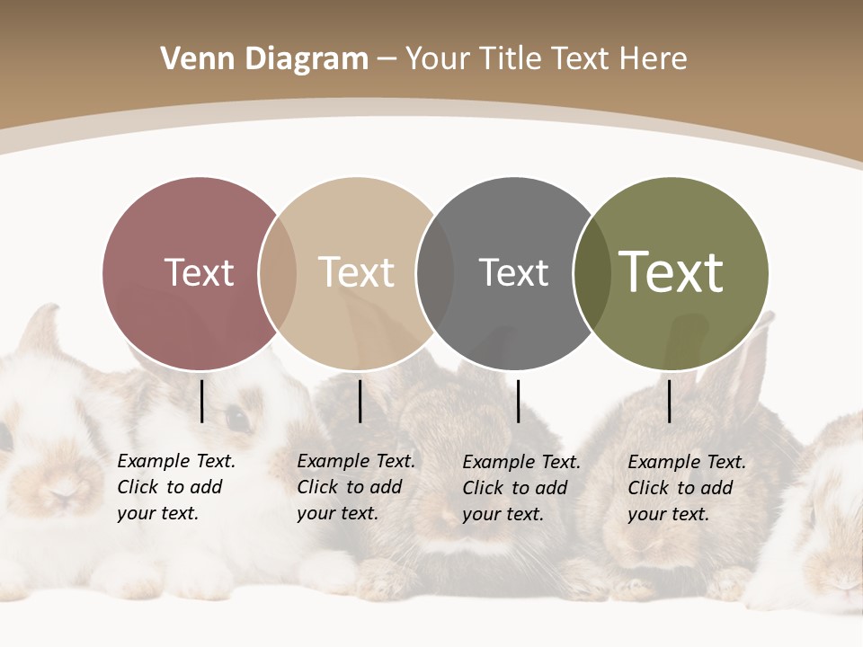 Baby Eight Curious PowerPoint Template