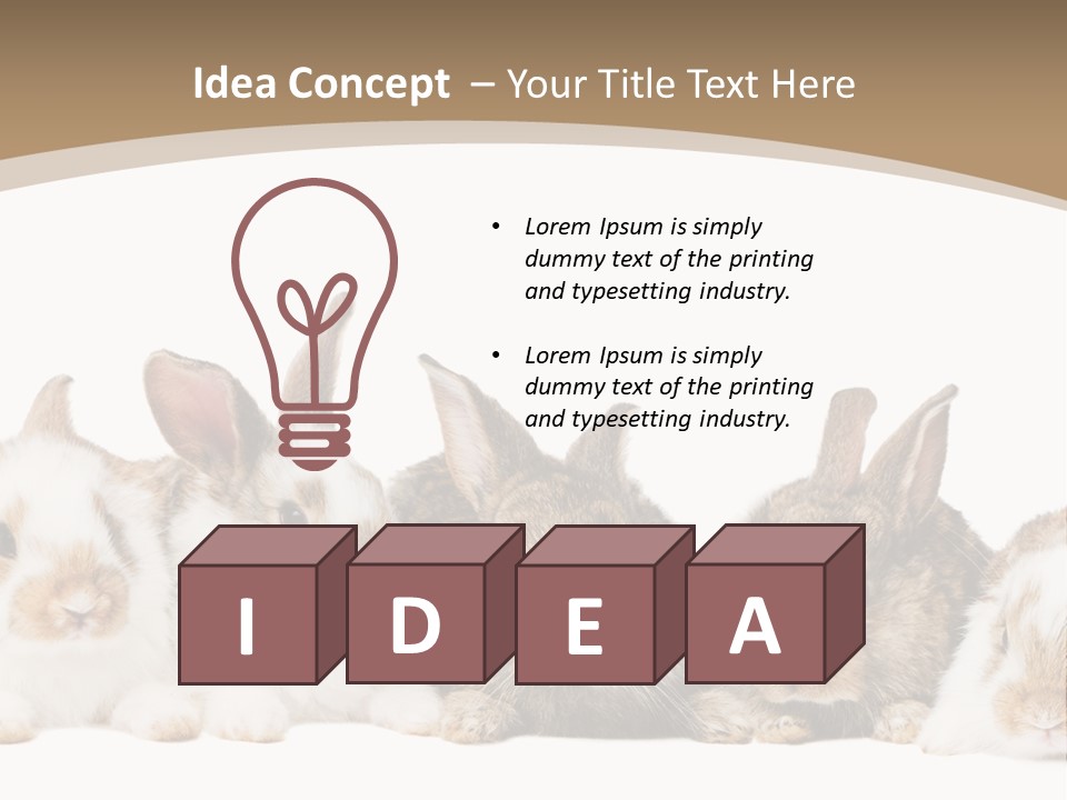 Baby Eight Curious PowerPoint Template