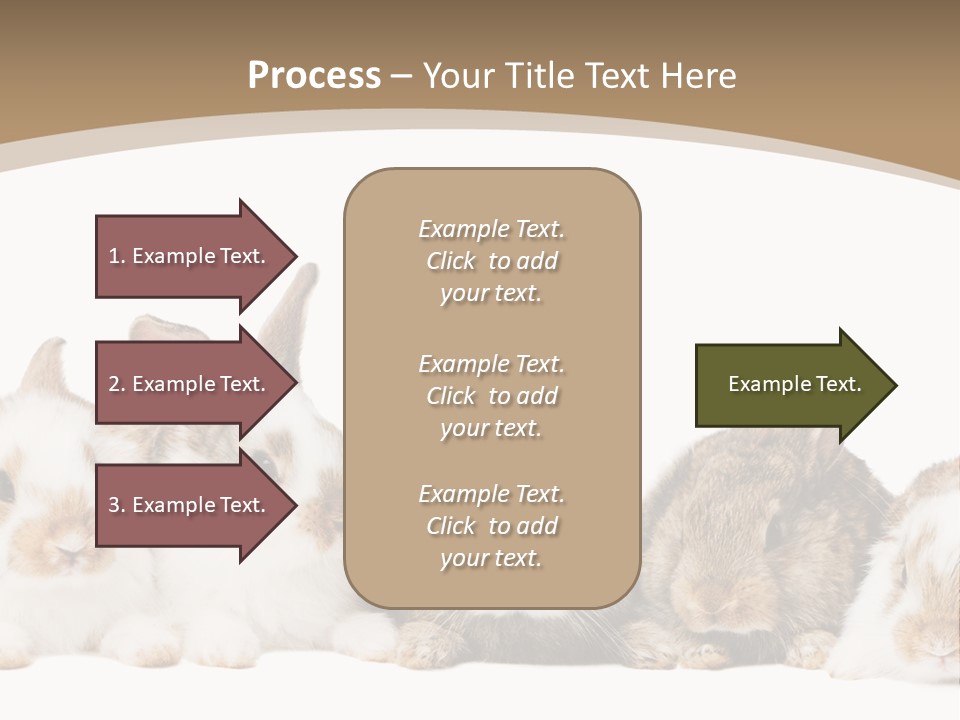 Baby Eight Curious PowerPoint Template