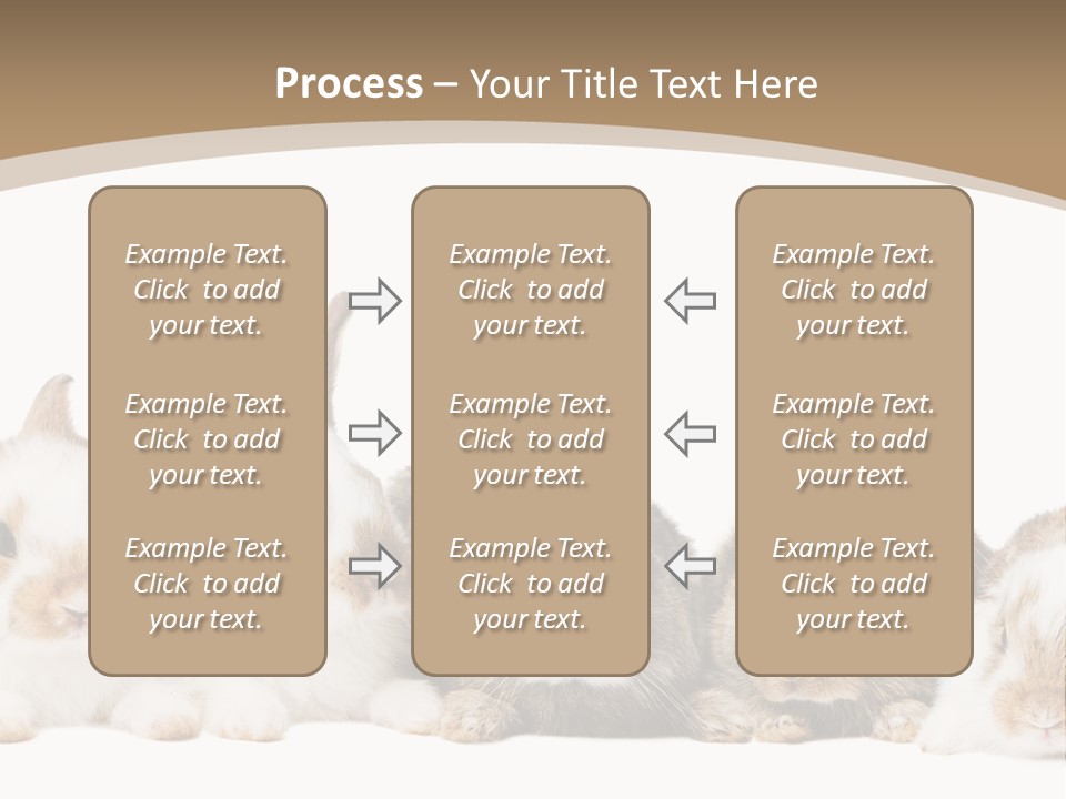 Baby Eight Curious PowerPoint Template