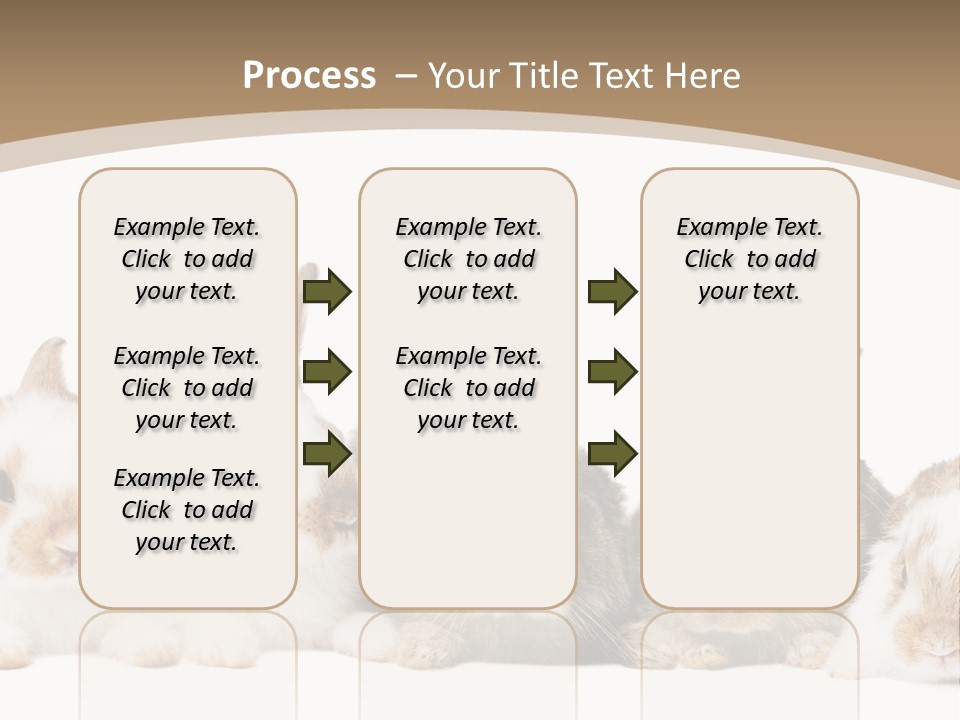 Baby Eight Curious PowerPoint Template