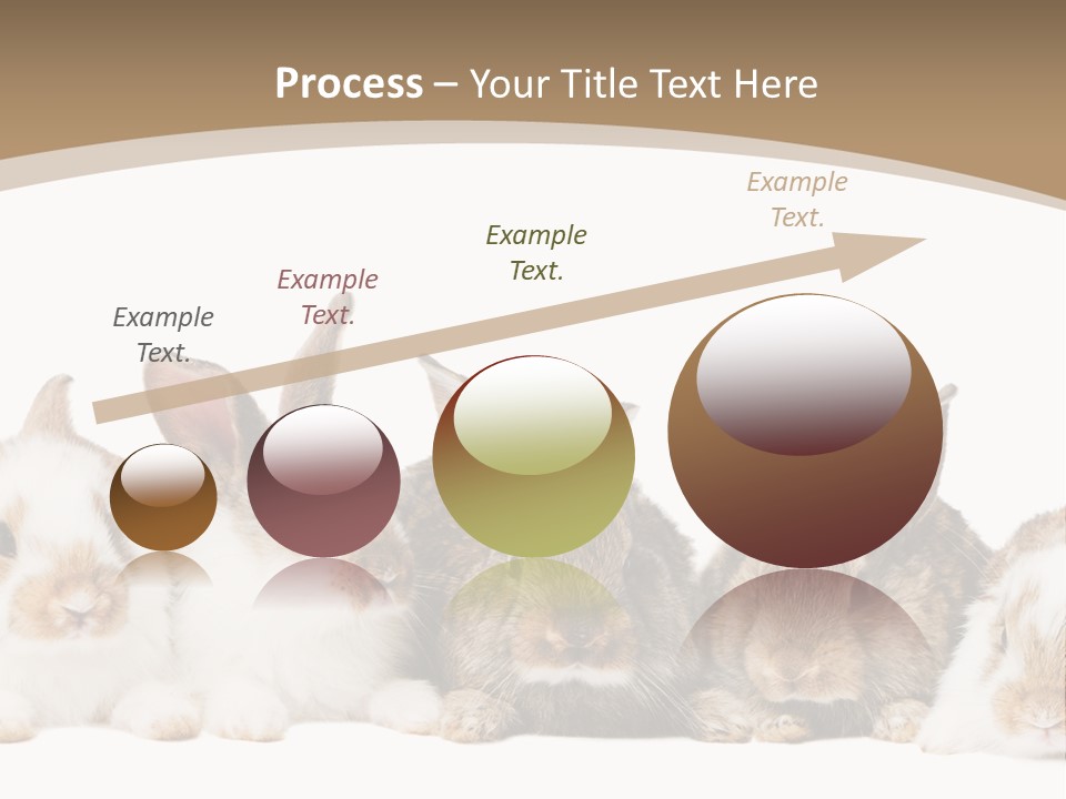 Baby Eight Curious PowerPoint Template