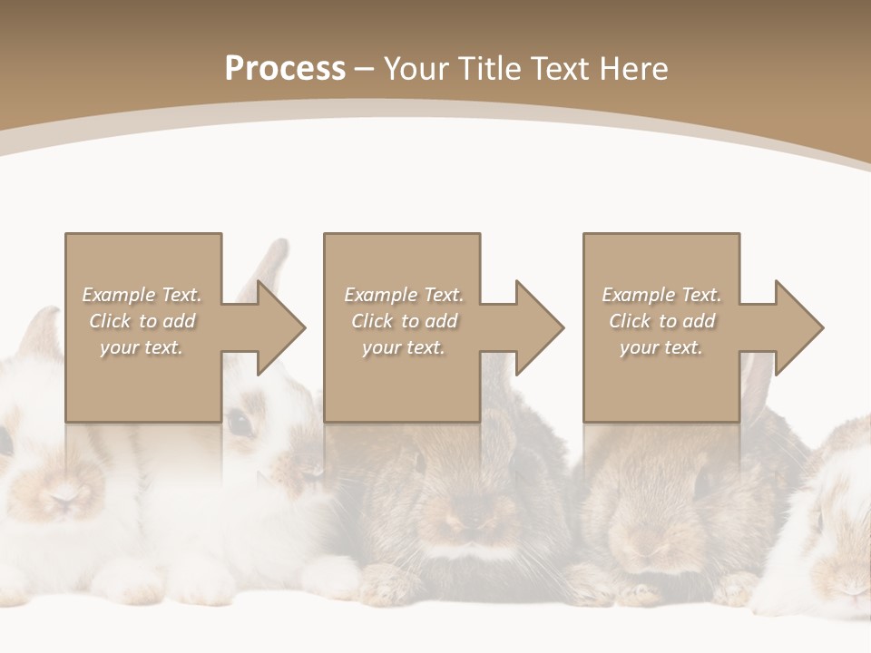 Baby Eight Curious PowerPoint Template