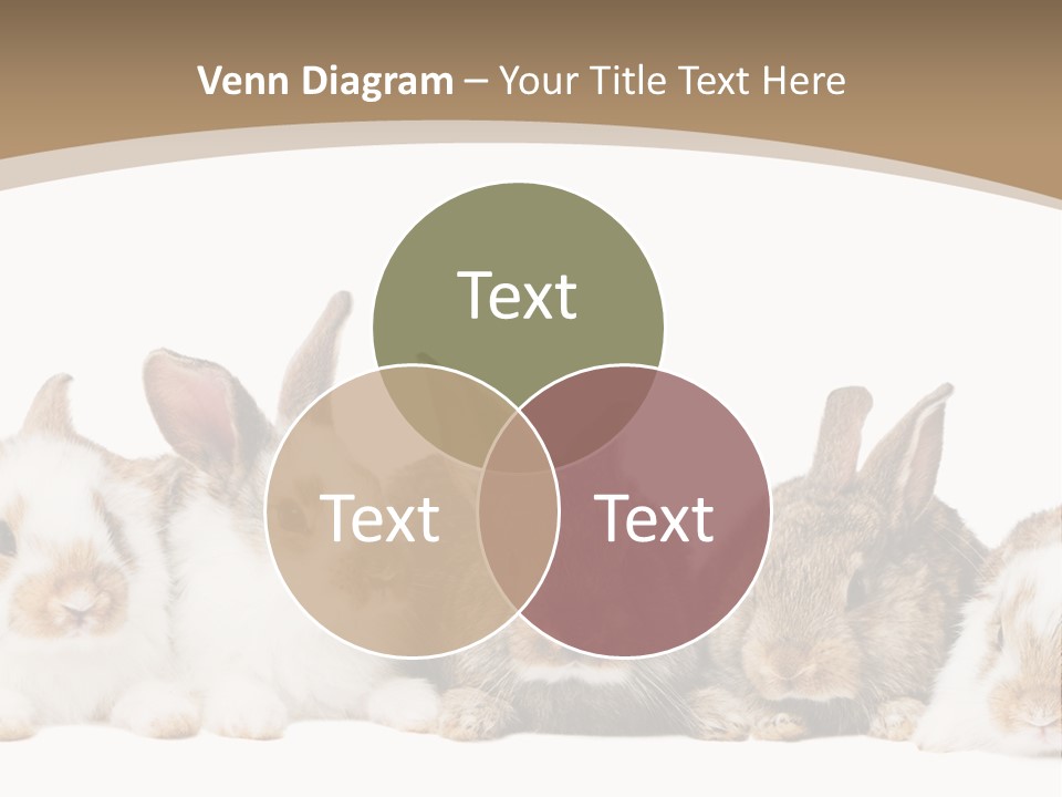 Baby Eight Curious PowerPoint Template