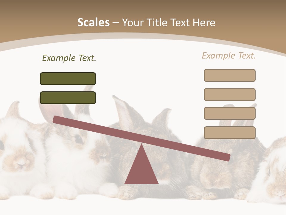 Baby Eight Curious PowerPoint Template