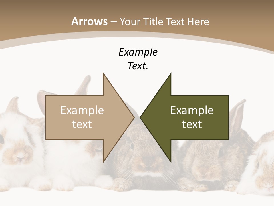 Baby Eight Curious PowerPoint Template
