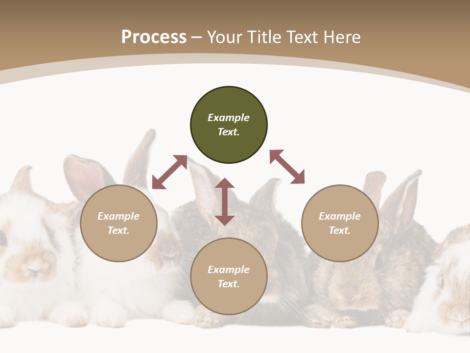 Baby Eight Curious PowerPoint Template