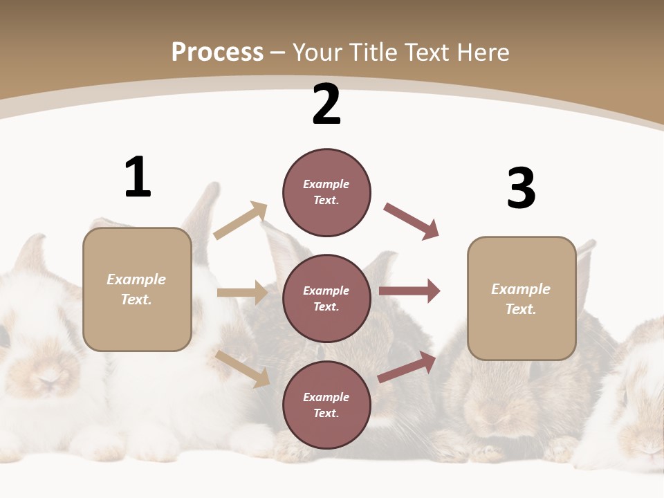 Baby Eight Curious PowerPoint Template