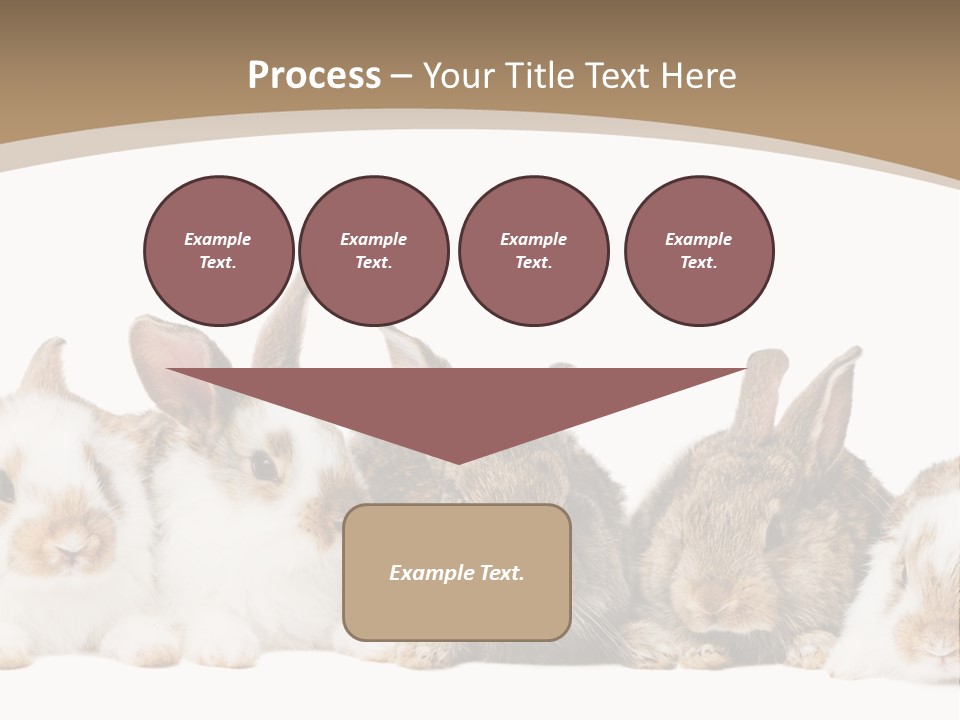 Baby Eight Curious PowerPoint Template