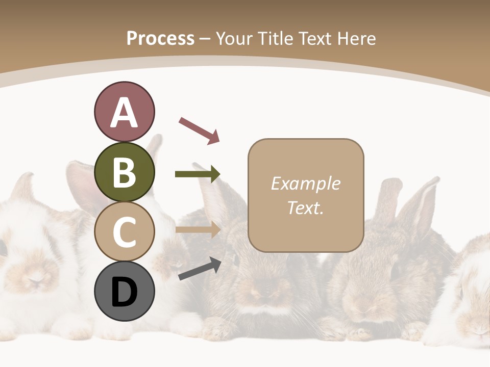 Baby Eight Curious PowerPoint Template