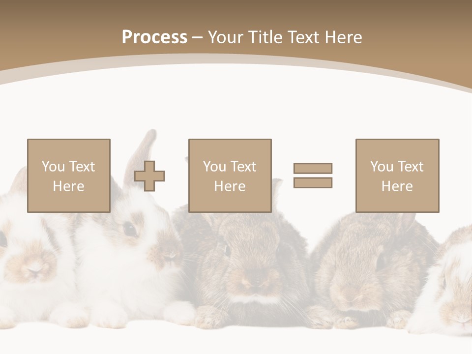 Baby Eight Curious PowerPoint Template