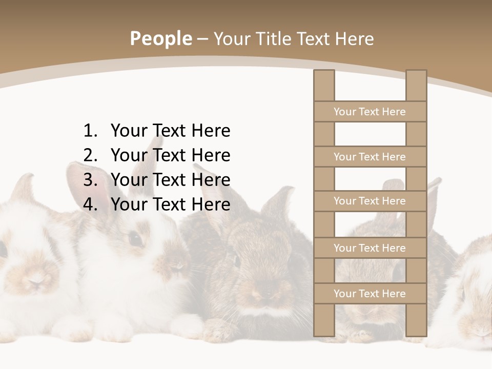 Baby Eight Curious PowerPoint Template