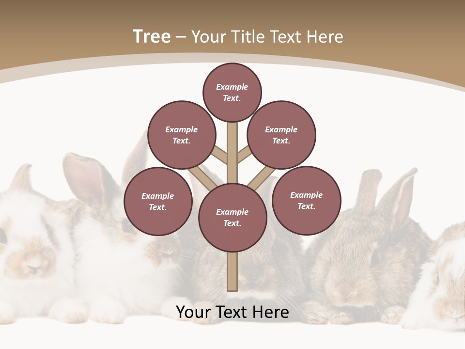 Baby Eight Curious PowerPoint Template