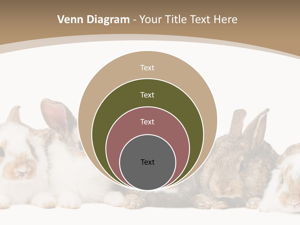 Baby Eight Curious PowerPoint Template