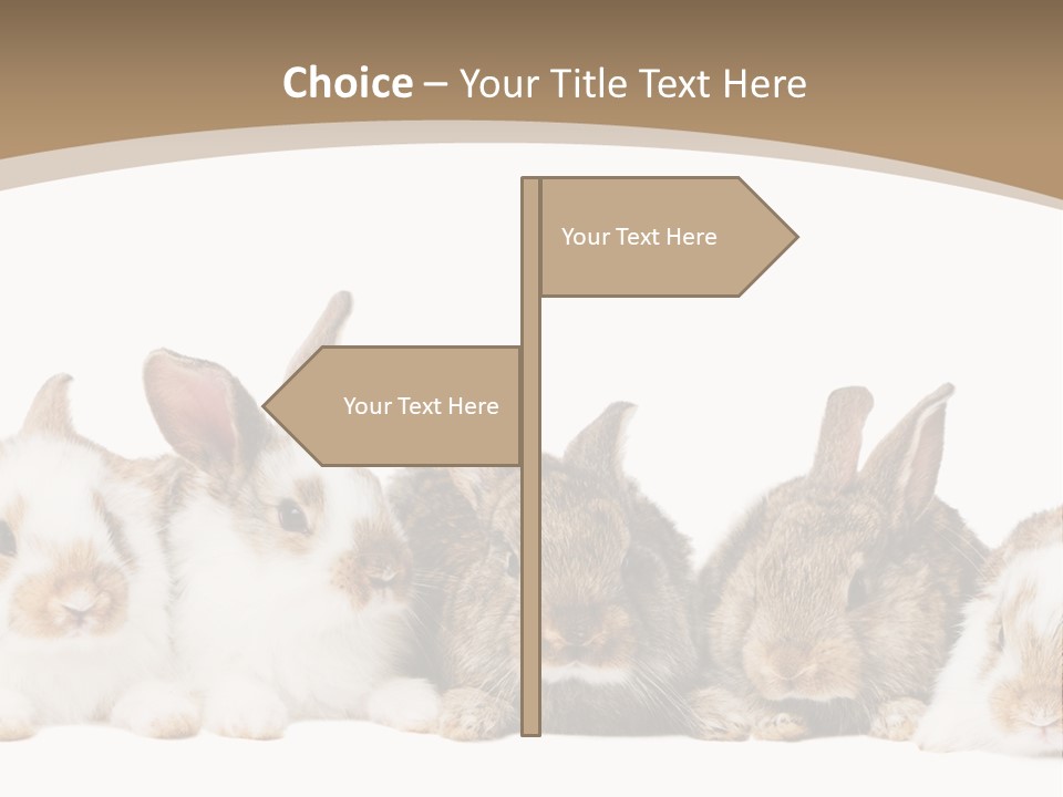 Baby Eight Curious PowerPoint Template