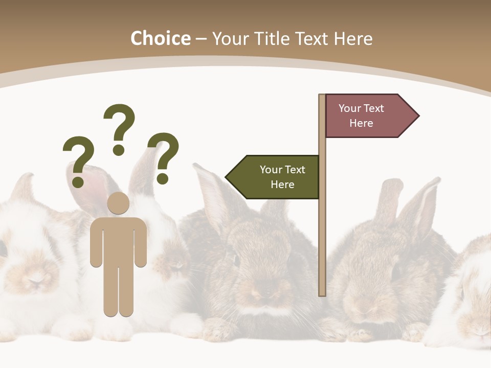 Baby Eight Curious PowerPoint Template