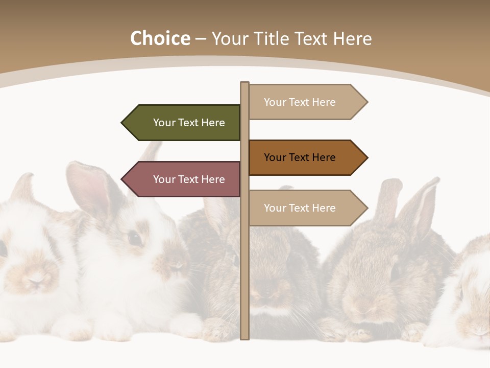 Baby Eight Curious PowerPoint Template