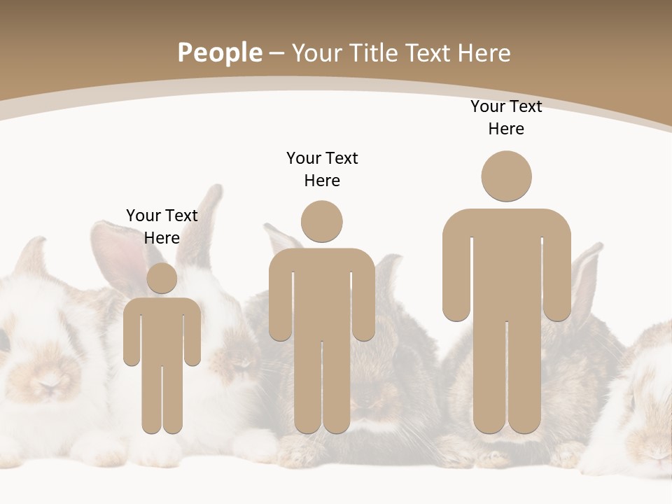 Baby Eight Curious PowerPoint Template