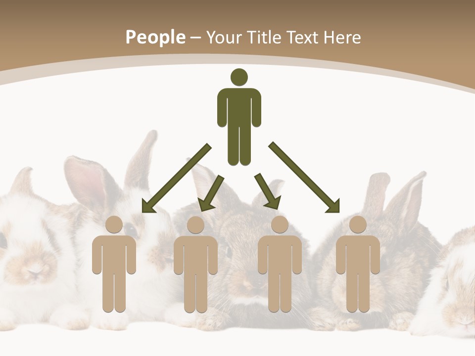 Baby Eight Curious PowerPoint Template