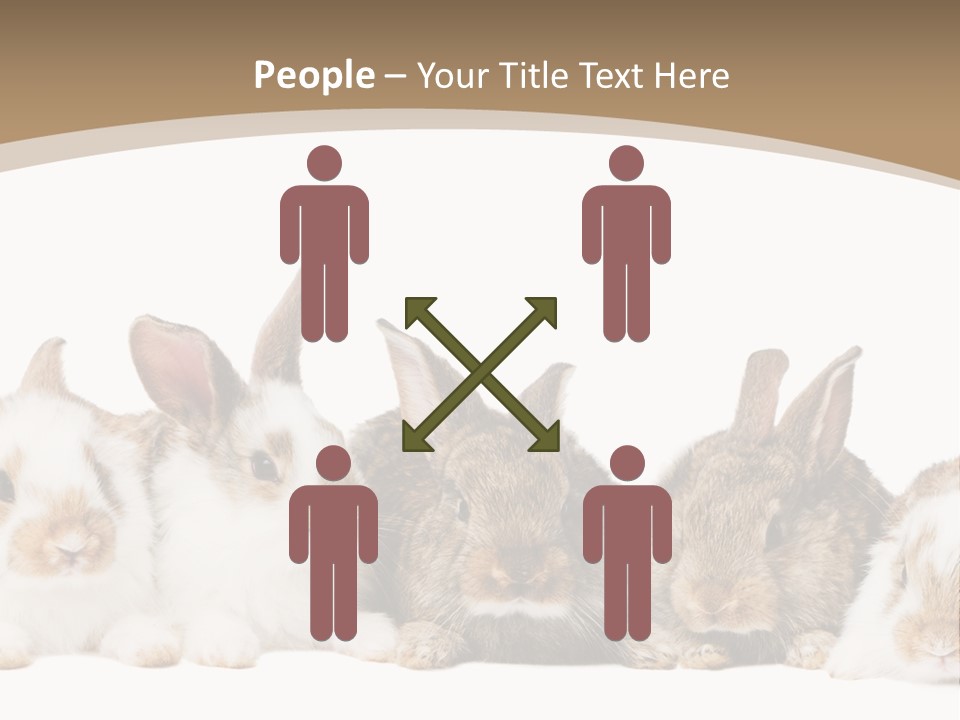 Baby Eight Curious PowerPoint Template