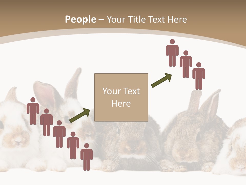 Baby Eight Curious PowerPoint Template