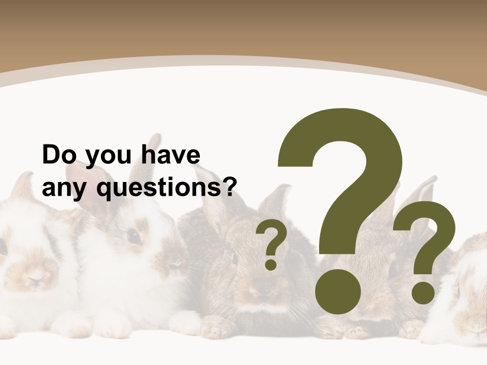 Baby Eight Curious PowerPoint Template