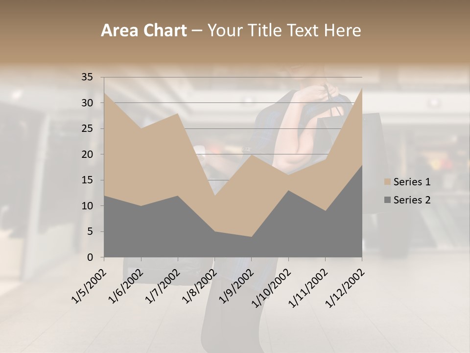 Shopper Stylish Hold PowerPoint Template