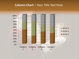 Corporation Boardroom Teamwork PowerPoint Template