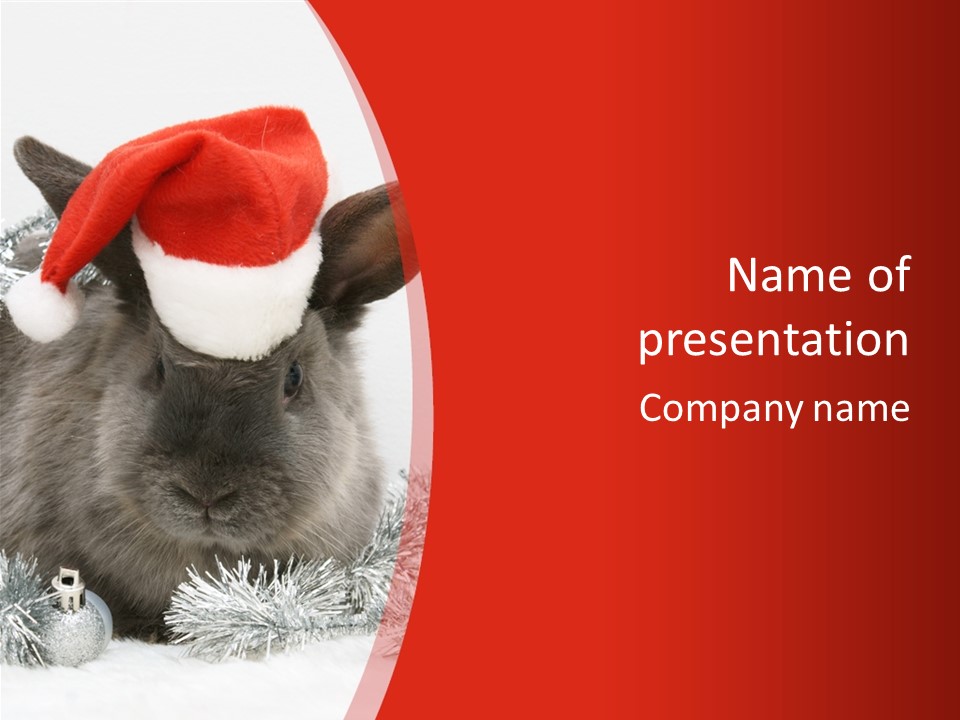 Bunny Pet Christmas PowerPoint Template