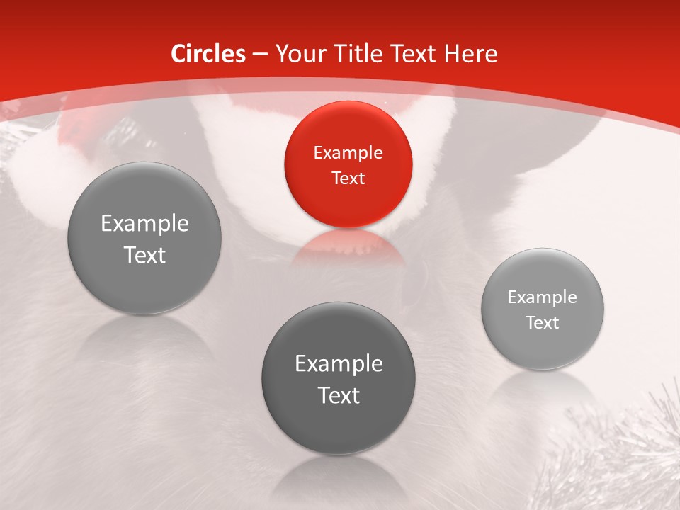 Bunny Pet Christmas PowerPoint Template