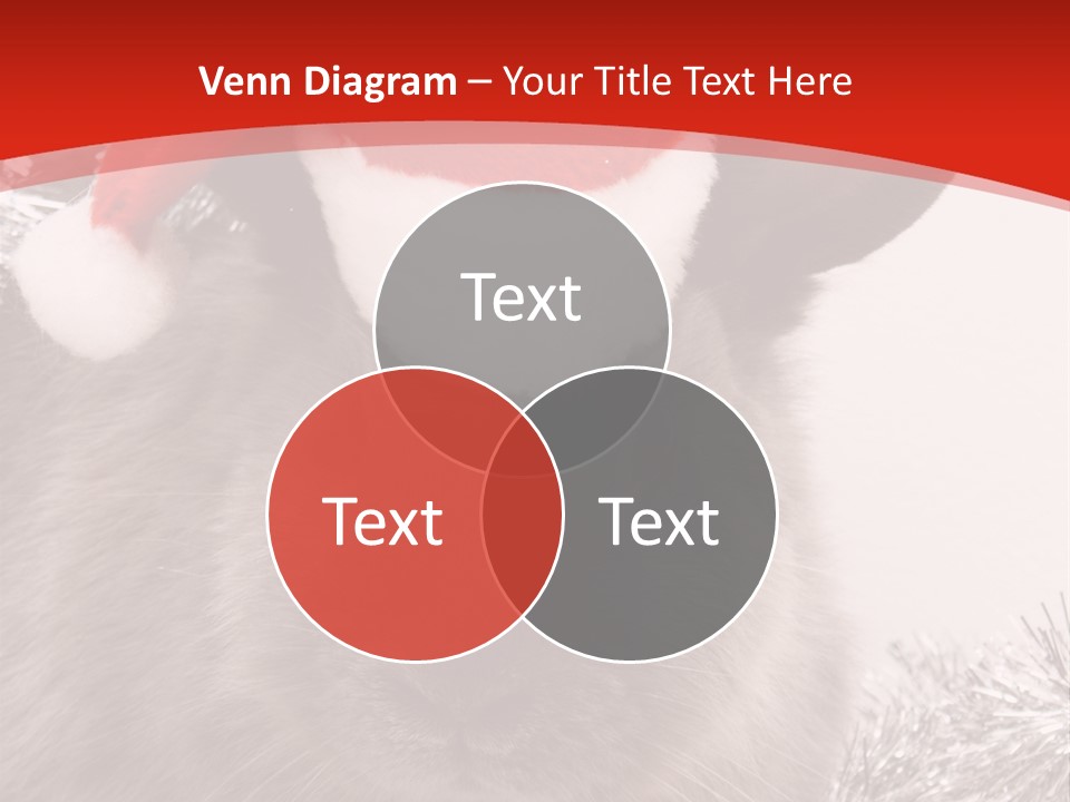 Bunny Pet Christmas PowerPoint Template