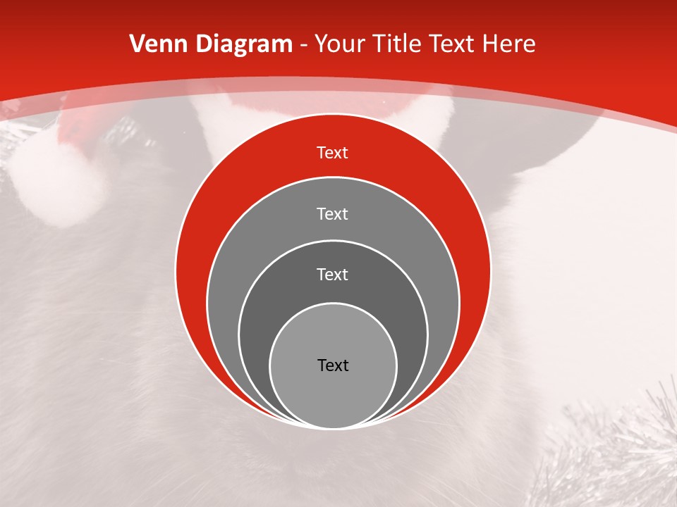 Bunny Pet Christmas PowerPoint Template