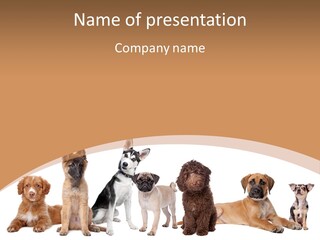 Retriever Obedience Domestic PowerPoint Template