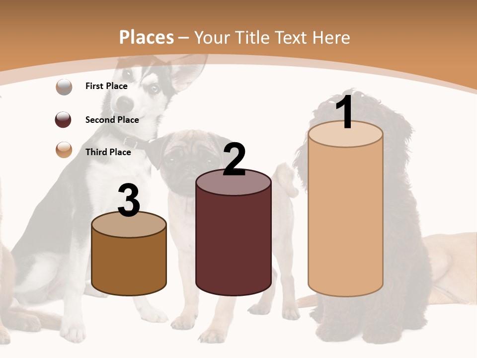 Retriever Obedience Domestic PowerPoint Template