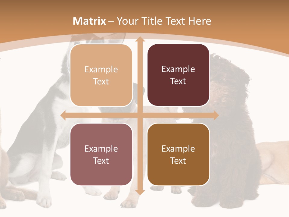 Retriever Obedience Domestic PowerPoint Template