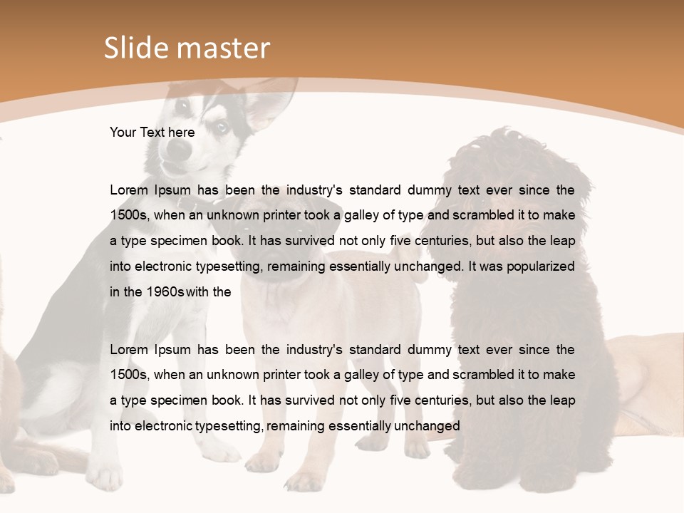 Retriever Obedience Domestic PowerPoint Template