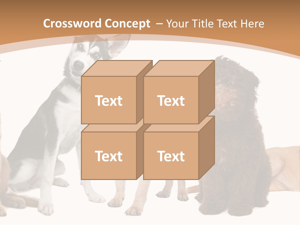 Retriever Obedience Domestic PowerPoint Template