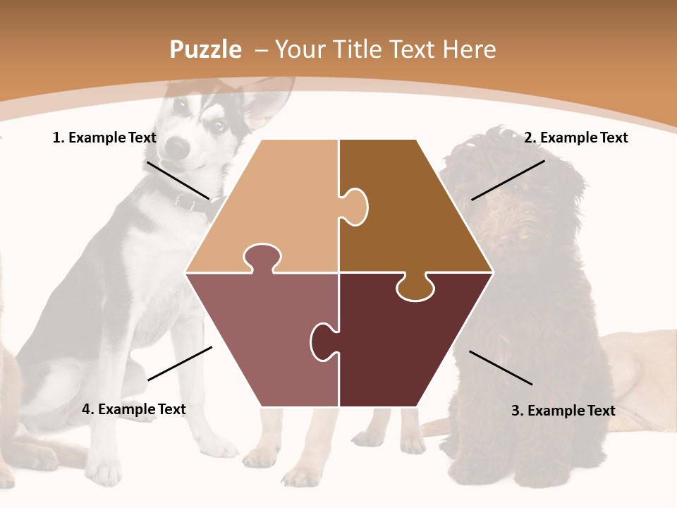 Retriever Obedience Domestic PowerPoint Template
