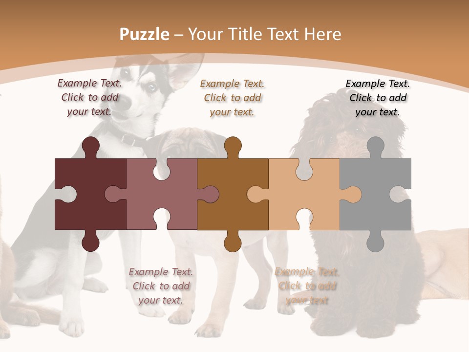 Retriever Obedience Domestic PowerPoint Template