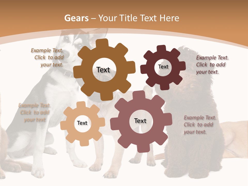 Retriever Obedience Domestic PowerPoint Template