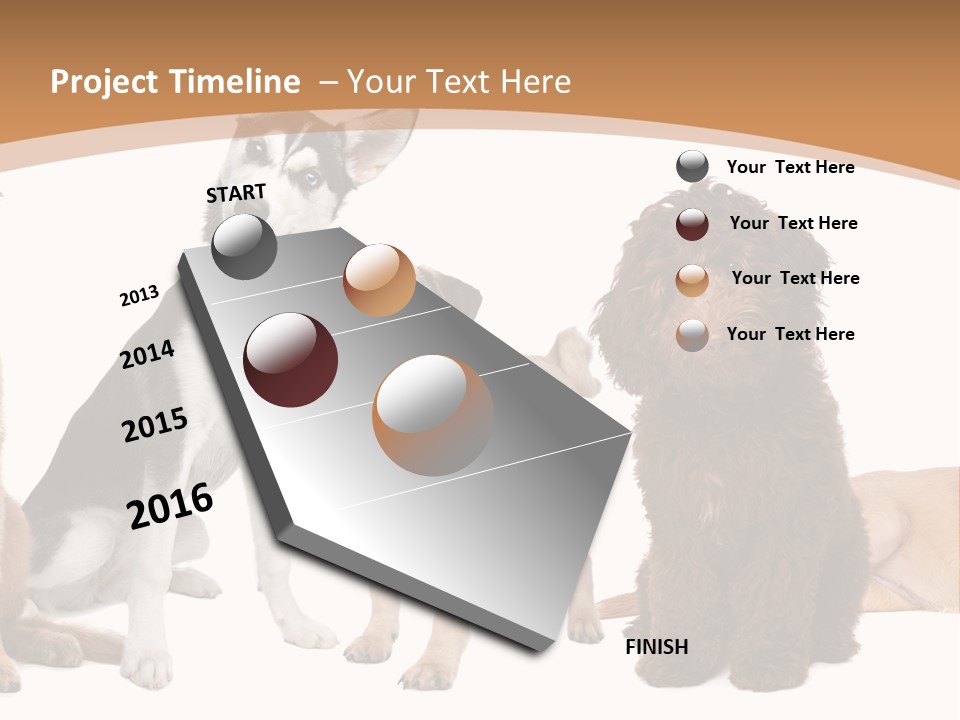 Retriever Obedience Domestic PowerPoint Template