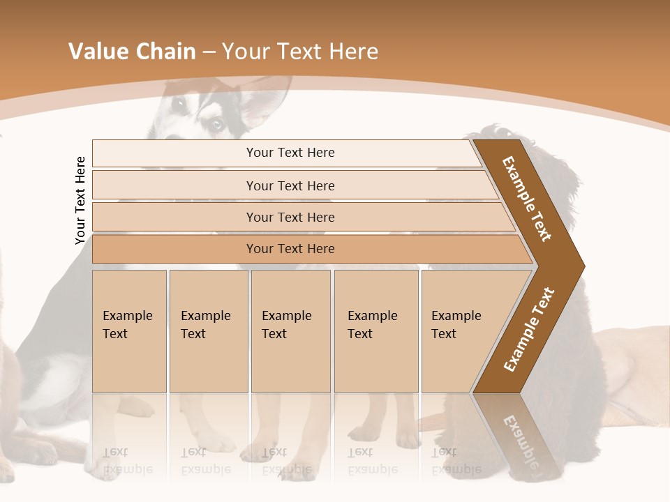 Retriever Obedience Domestic PowerPoint Template