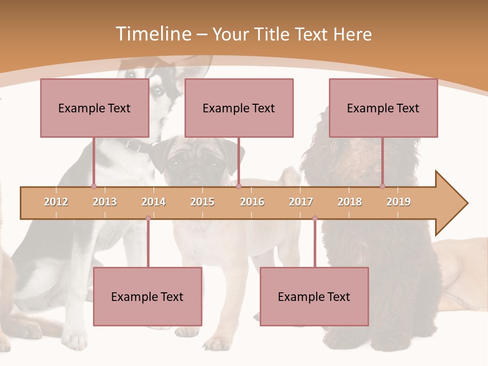 Retriever Obedience Domestic PowerPoint Template