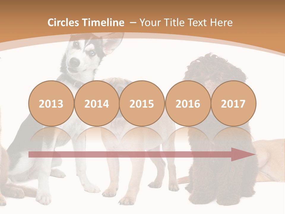 Retriever Obedience Domestic PowerPoint Template