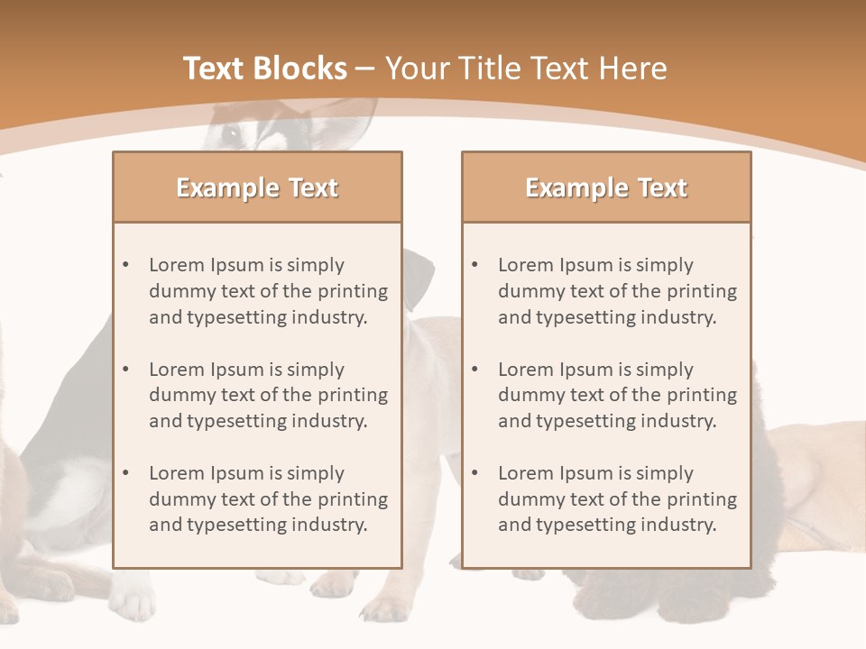 Retriever Obedience Domestic PowerPoint Template