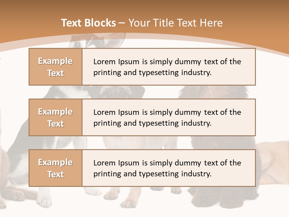 Retriever Obedience Domestic PowerPoint Template