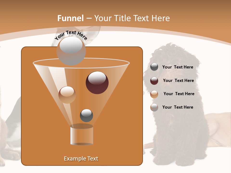 Retriever Obedience Domestic PowerPoint Template