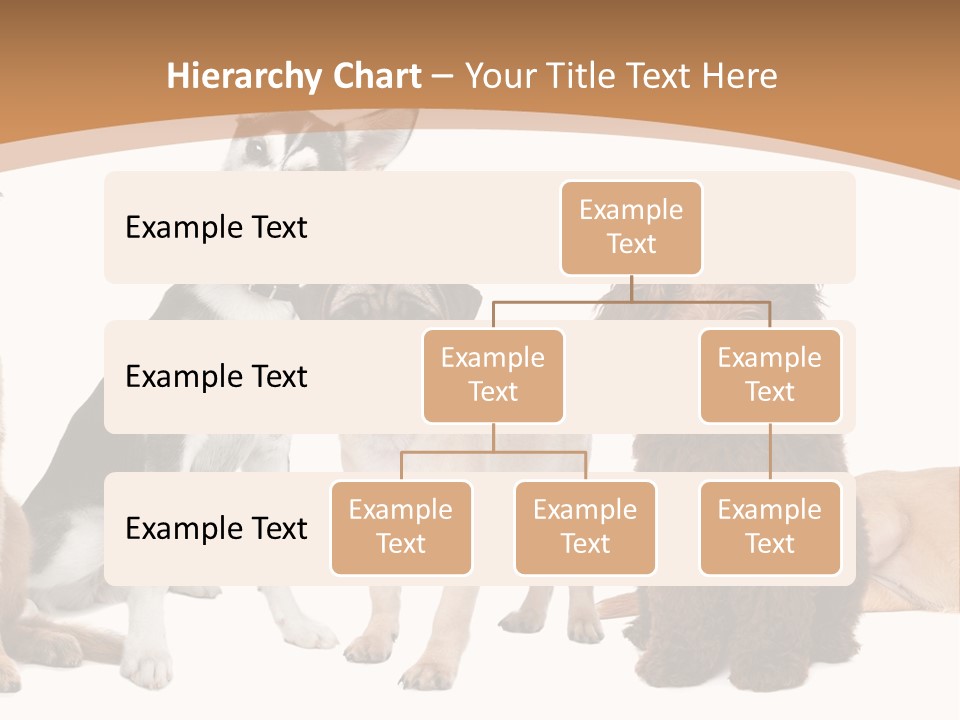 Retriever Obedience Domestic PowerPoint Template