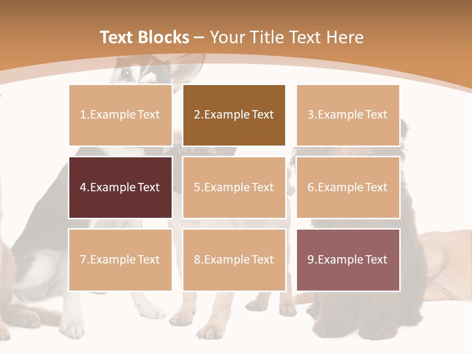 Retriever Obedience Domestic PowerPoint Template