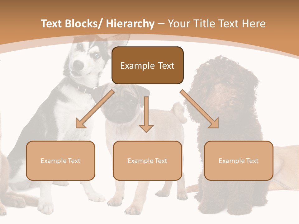 Retriever Obedience Domestic PowerPoint Template